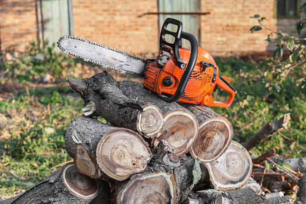 Tree Service Company in Haysville, KS